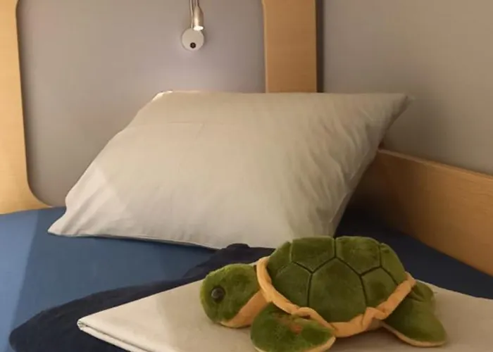 شقة V أرغوستولي